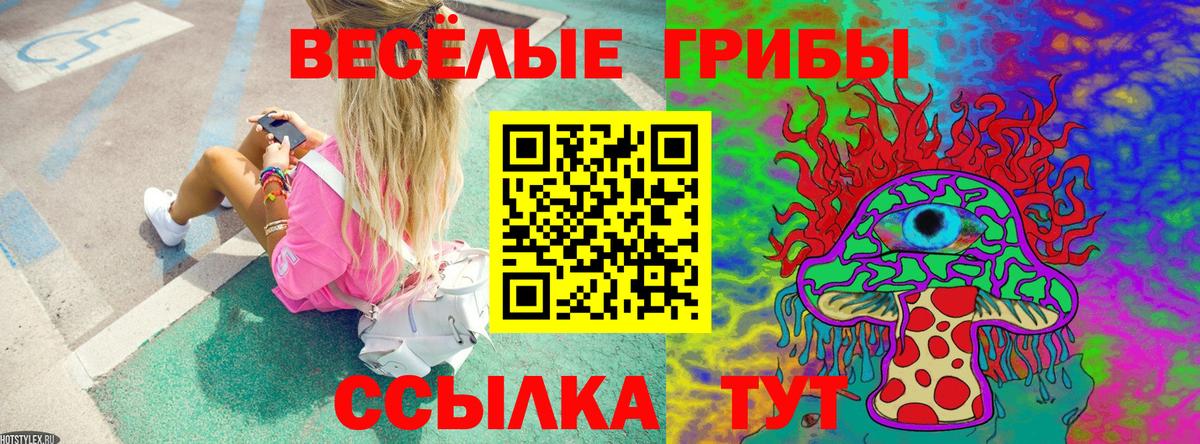 Галлюциногенные грибы мицелий  Вход с VPN  Муром 